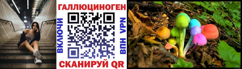 Галлюциногенные грибы Cubensis  Юрьев-Польский 